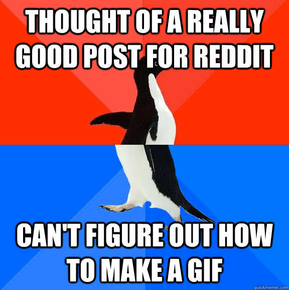 Thought of a really good post for reddit can't figure out how to make a gif  Socially Awesome Awkward Penguin