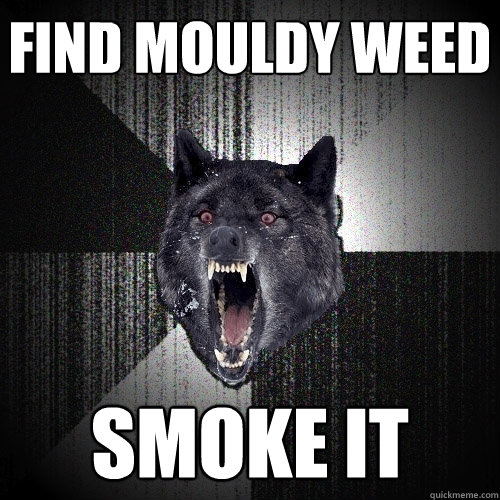 Find mouldy weed smoke it  Insanity Wolf