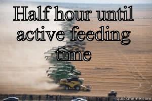 HALF HOUR UNTIL ACTIVE FEEDING TIME  Misc