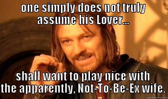ONE SIMPLY DOES NOT TRULY ASSUME HIS LOVER... SHALL WANT TO PLAY NICE WITH THE APPARENTLY, NOT-TO-BE-EX WIFE. Boromir