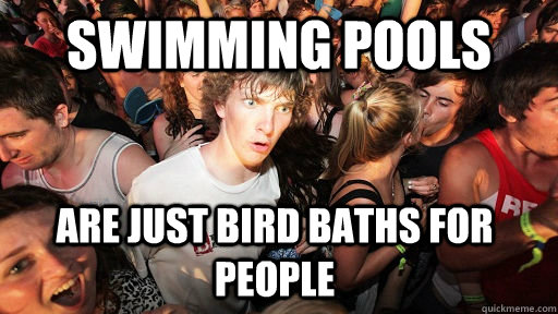 Swimming pools are just bird baths for people  Sudden Clarity Clarence