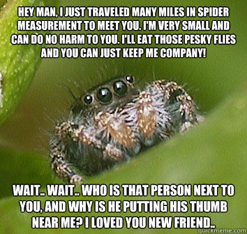 Hey man, I just traveled many miles in spider measurement to meet you. I'm very small and can do no harm to you. I'll eat those pesky flies and you can just keep me company! Wait.. wait.. who is that person next to you, and why is he putting his thumb nea - Hey man, I just traveled many miles in spider measurement to meet you. I'm very small and can do no harm to you. I'll eat those pesky flies and you can just keep me company! Wait.. wait.. who is that person next to you, and why is he putting his thumb nea  Misunderstood Spider