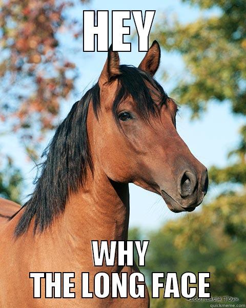 Hey.Why the long face? - HEY WHY THE LONG FACE Misc