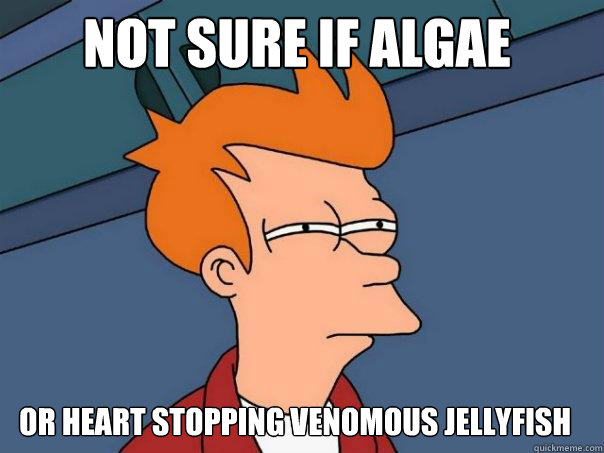 not sure if algae or heart stopping venomous jellyfish  Futurama Fry