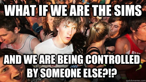 WHat if we are the sims And we are being controlled by someone else?!?  Sudden Clarity Clarence