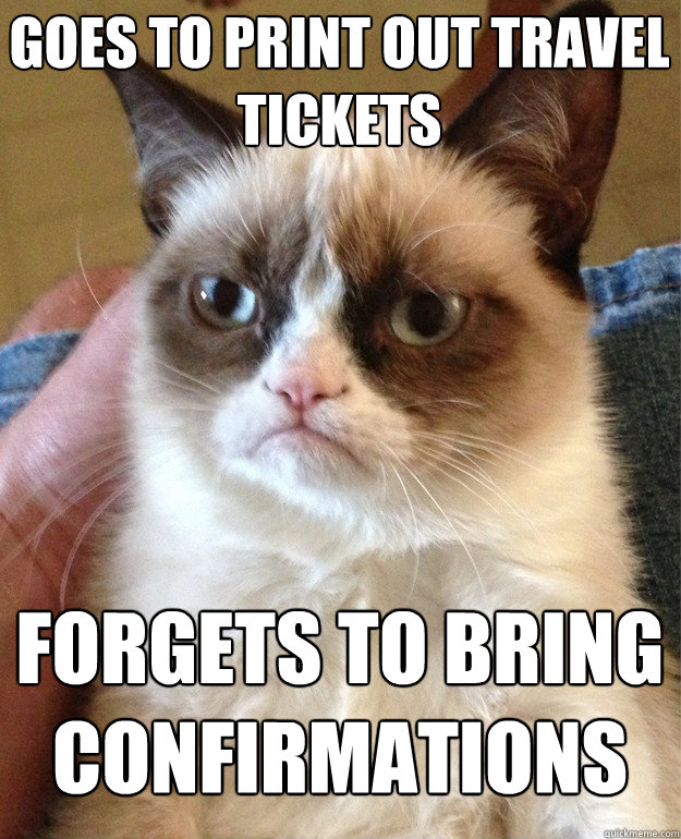 Goes to print out travel tickets Forgets to bring confirmations  Grumpy Cat