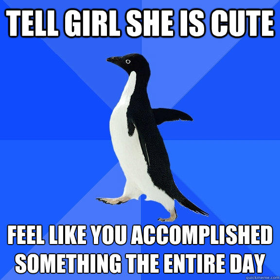Tell girl she is cute Feel like you accomplished something the entire day  Socially Awkward Penguin
