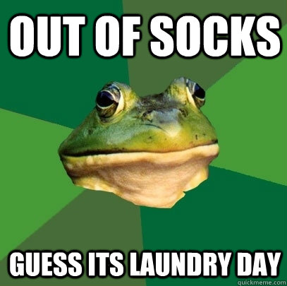 out of socks  guess its laundry day  Foul Bachelor Frog