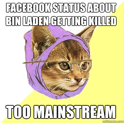 Facebook Status about Bin Laden getting killed Too Mainstream  Hipster Kitty