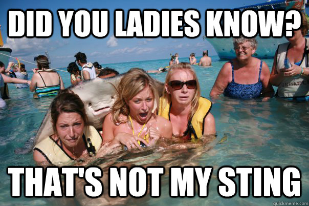 did you ladies know? That's not my sting - did you ladies know? That's not my sting  Pervert Stingray