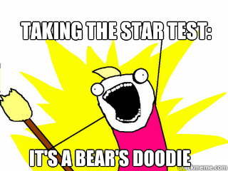 Taking the STAR Test: It's a Bear's Doodie  All The Things