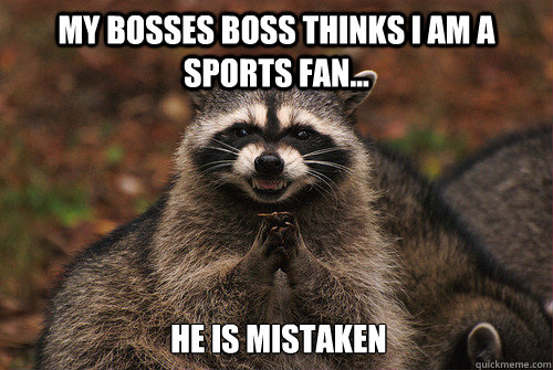 My bosses boss thinks I am a sports fan... He is mistaken  Insidious Racoon 2