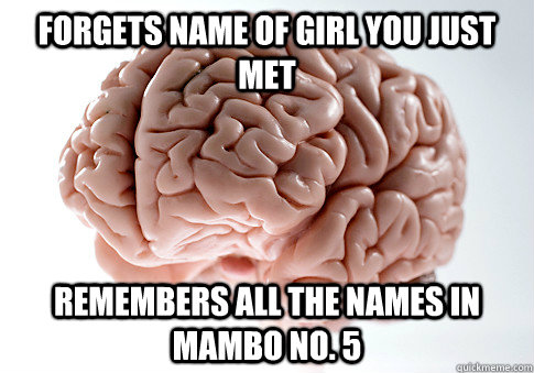 forgets name of girl you just met remembers all the names in mambo no. 5  Scumbag Brain