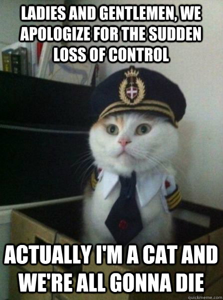 LADIES AND GENTLEMEN, WE APOLOGIZE FOR THE SUDDEN loss of control ACTUALLY I'M A CAT AND WE'RE ALL GONNA DIE - LADIES AND GENTLEMEN, WE APOLOGIZE FOR THE SUDDEN loss of control ACTUALLY I'M A CAT AND WE'RE ALL GONNA DIE  Captain kitteh