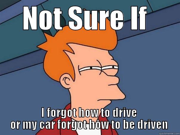 NOT SURE IF  I FORGOT HOW TO DRIVE OR MY CAR FORGOT HOW TO BE DRIVEN Futurama Fry