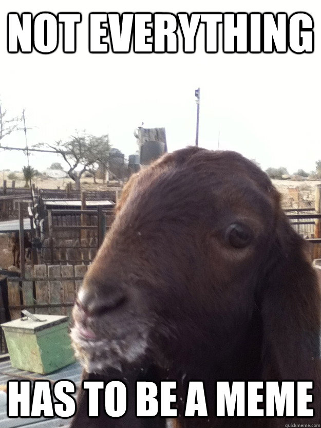 Not Everything Has to be a meme - Not Everything Has to be a meme  Meme goat