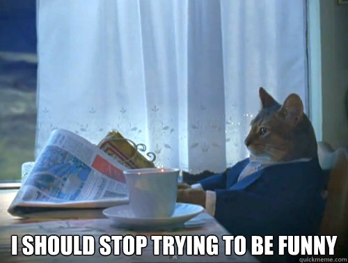  I should stop trying to be funny  The One Percent Cat