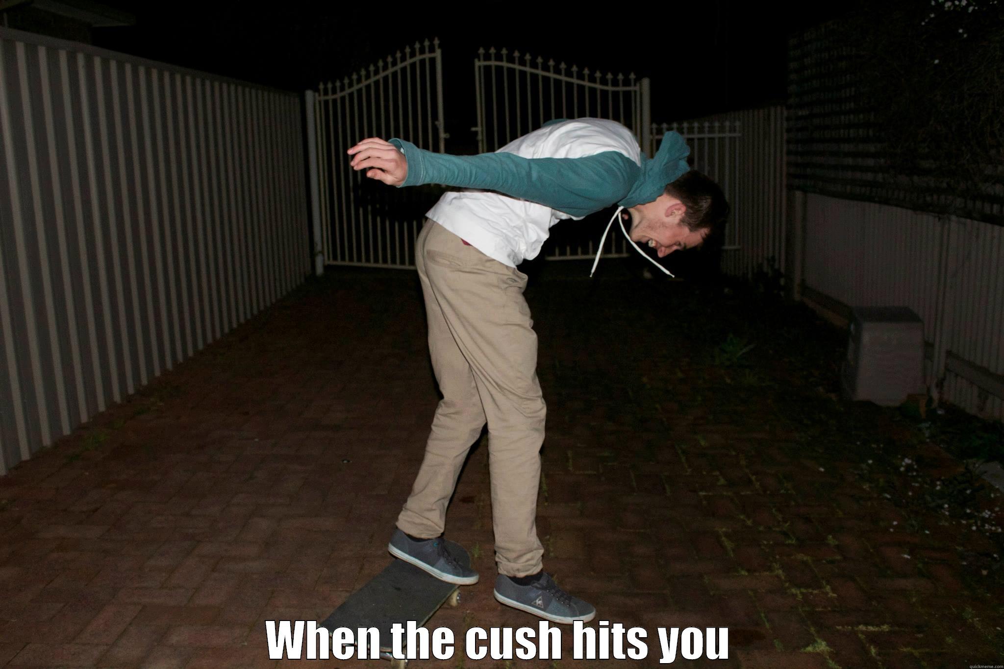  WHEN THE CUSH HITS YOU Misc