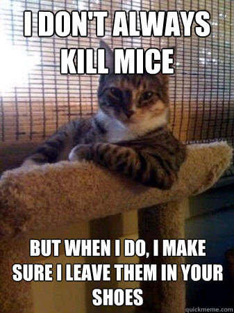 I don't always kill mice but when I do, I make sure I leave them in your shoes  The Most Interesting Cat in the World