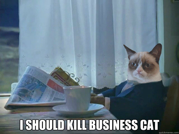  I SHOULD KILL BUSINESS CAT  Grumpy Cat Thoughts