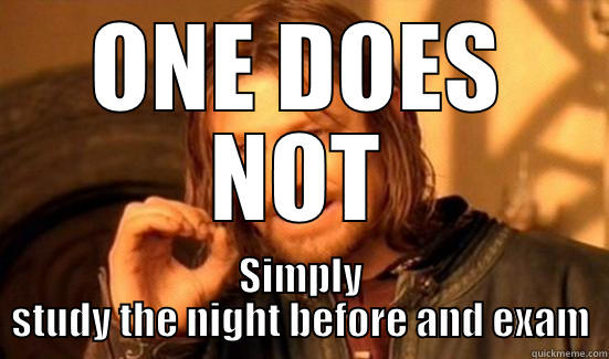 ONE DOES NOT SIMPLY STUDY THE NIGHT BEFORE AND EXAM Boromir