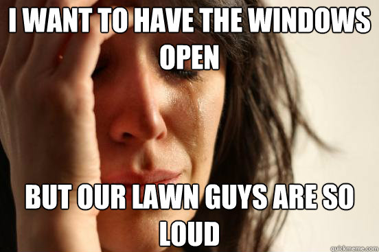 I want to have the windows open but our lawn guys are so loud  First World Problems