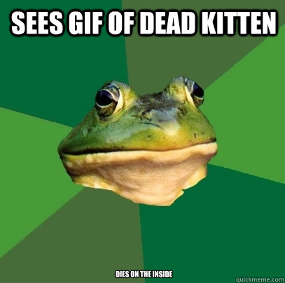 Sees Gif of Dead KItten Dies on the inside  Foul Bachelor Frog