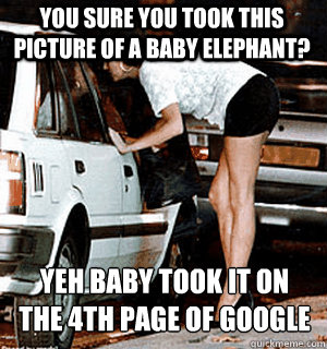 You sure you took this picture of a baby elephant? yeh baby took it on the 4th page of google
  Karma Whore