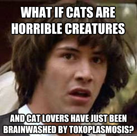 what if cats are horrible creatures and cat lovers have just been brainwashed by toxoplasmosis?  conspiracy keanu