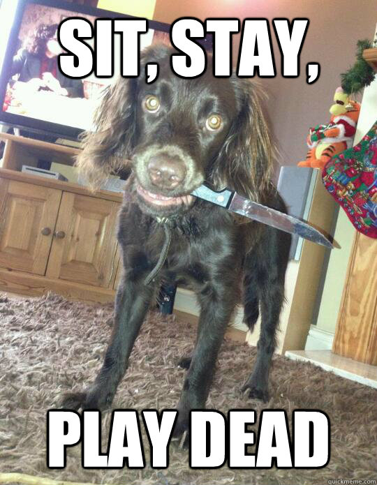 Sit, stay, play dead - Sit, stay, play dead  Misc