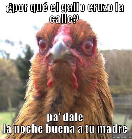 por que el gallo  - ¿POR QUÉ EL GALLO CRUZO LA CALLE?  PA' DALE LA NOCHE BUENA A TU MADRE RageChicken