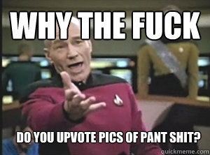 Why the Fuck Do you upvote pics of pant shit?  Annoyed Picard