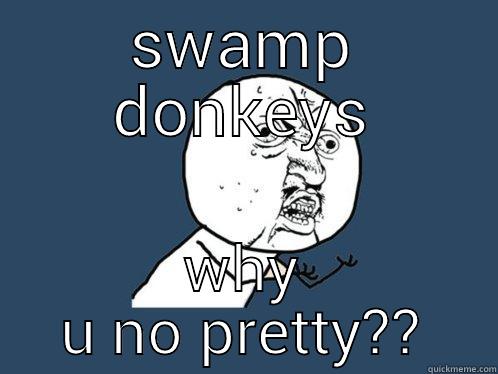 SWAMP DONKEYS WHY U NO PRETTY?? Y U No