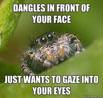 Dangles in front of your face just wants to gaze into your eyes  Misunderstood Spider