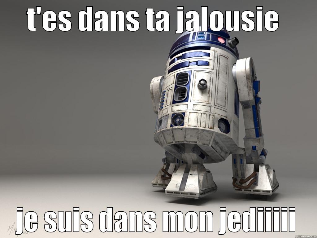 T'ES DANS TA JALOUSIE  JE SUIS DANS MON JEDIIIII Misc