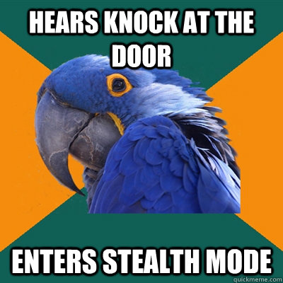 hears knock at the door enters stealth mode - hears knock at the door enters stealth mode  Paranoid Parrot