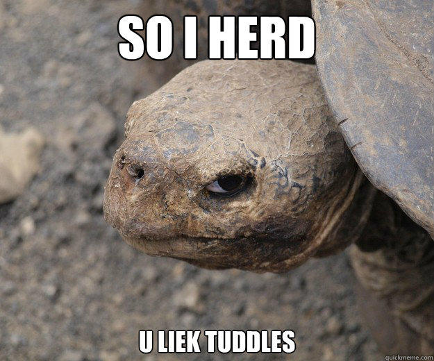 So i herd u liek tuddles - So i herd u liek tuddles  Insanity Tortoise