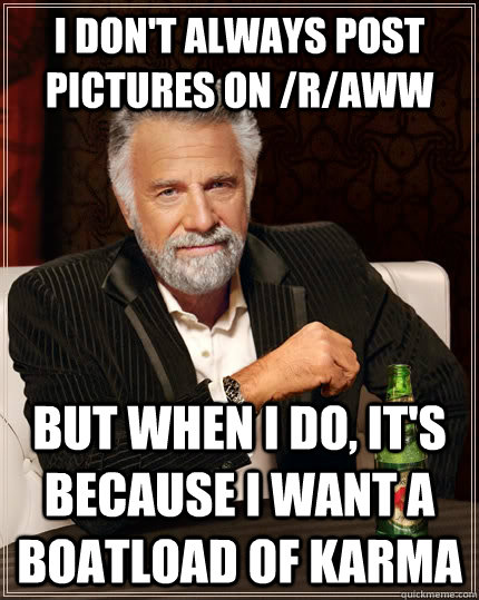 I don't always post pictures on /r/aww But when i do, it's because I want a boatload of karma  The Most Interesting Man In The World