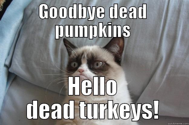GOODBYE DEAD PUMPKINS HELLO DEAD TURKEYS! Grumpy Cat