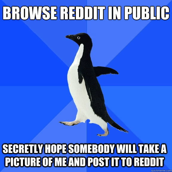 Browse Reddit in public Secretly hope somebody will take a picture of me and post it to reddit    Socially Awkward Penguin