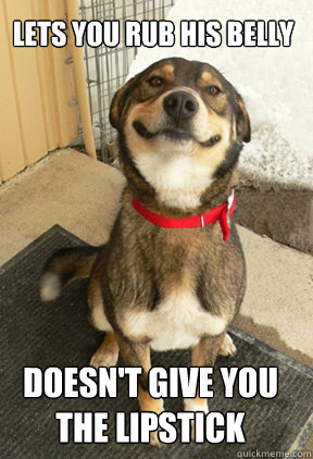 LETS YOU RUB HIS BELLY DOESN'T GIVE YOU THE LIPSTICK  Good Dog Greg