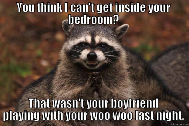 Racoon Woo Woo - YOU THINK I CAN'T GET INSIDE YOUR BEDROOM? THAT WASN'T YOUR BOYFRIEND PLAYING WITH YOUR WOO WOO LAST NIGHT. Evil Plotting Raccoon