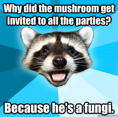 Why did the mushroom get invited to all the parties? Because he's a fungi.  Lame Pun Coon