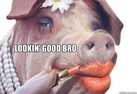  Lookin' Good bro  Lipstick on a Pig