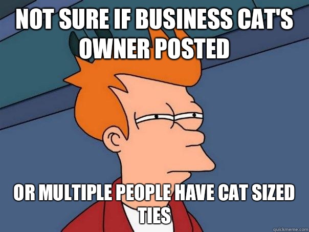 not sure if business cat's owner posted Or multiple people have cat sized ties - not sure if business cat's owner posted Or multiple people have cat sized ties  Futurama Fry