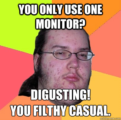 You only use one monitor? Digusting!
You filthy casual.  Butthurt Dweller