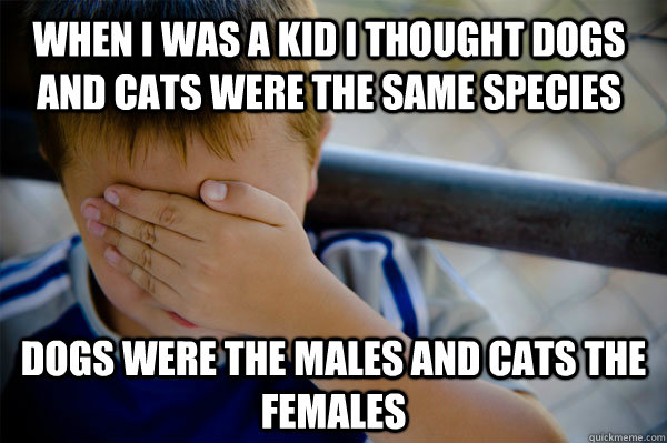 When I was a kid I thought dogs and cats were the same species Dogs were the males and cats the females - When I was a kid I thought dogs and cats were the same species Dogs were the males and cats the females  Misc
