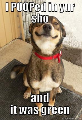I POOPED IN YUR SHO AND IT WAS GREEN Good Dog Greg
