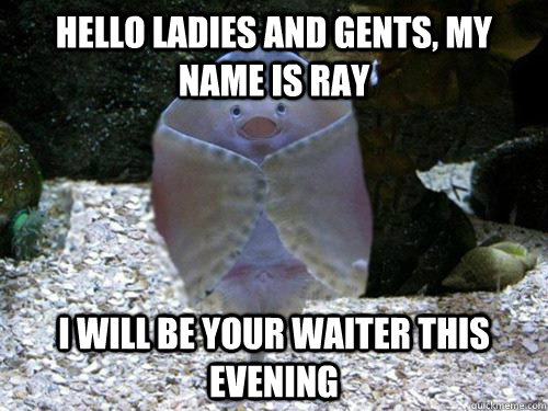 Hello ladies and gents, my name is ray I will be your waiter this evening - Hello ladies and gents, my name is ray I will be your waiter this evening  friendly stingray