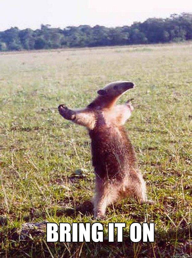  Bring it on  Bad Anteater